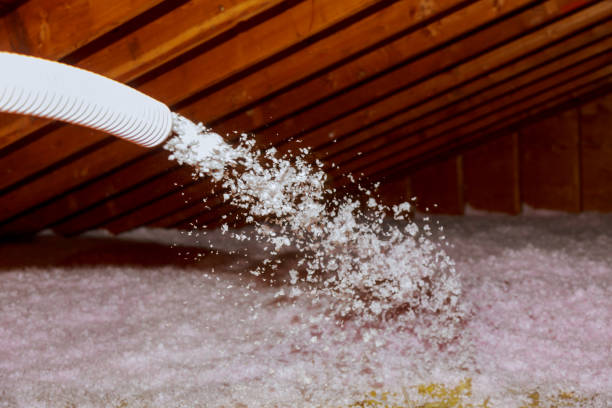 Best Fiberglass Insulation in Val Verde Park, TX