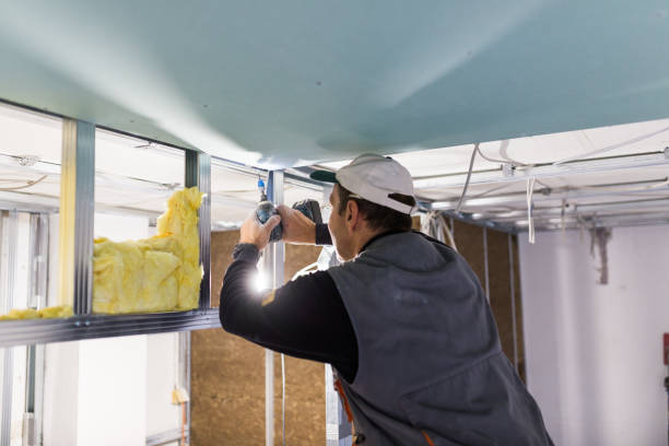 Best Insulation Maintenance and Repair in Val Verde Park, TX