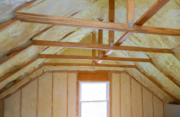 Best Insulation for Specific Applications in Val Verde Park, TX