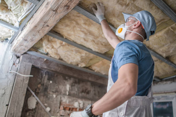 Best Spray Foam Insulation in Val Verde Park, TX