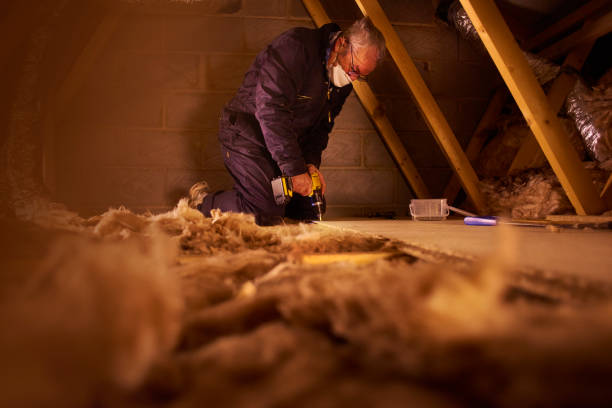 Best Commercial Insulation in Val Verde Park, TX